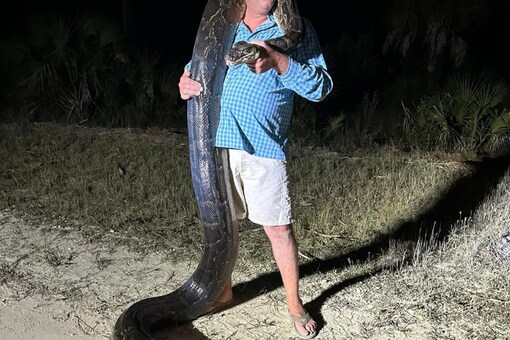 17-foot Python Captured In Florida After 45 Minutes Of Tussle - News18