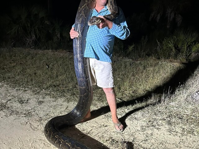 17-Foot Python Captured In Florida After 45 Minutes Of Tussle - News18