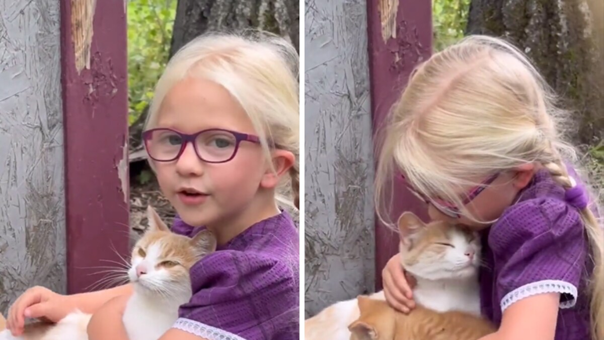Video Shows Mama Cat Introducing Kitten To Little Girl; Smiles Guaranteed – News18