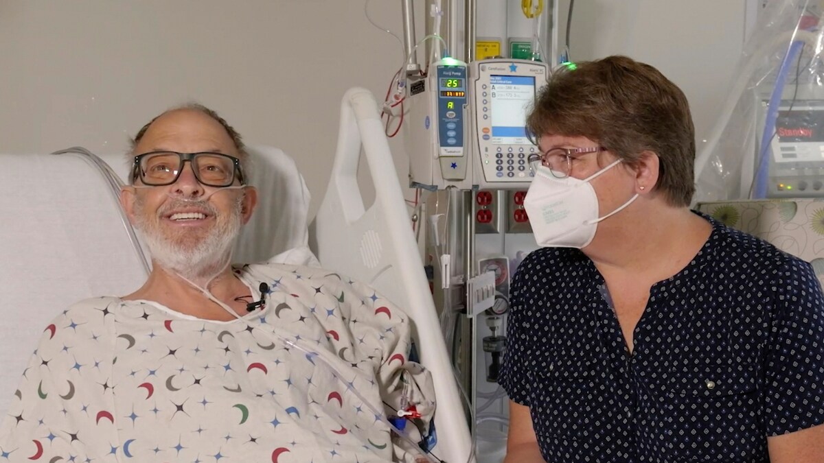 US: Second Pig Heart Transplant Recipient Dies After Groundbreaking Surgery - Vimarsana News