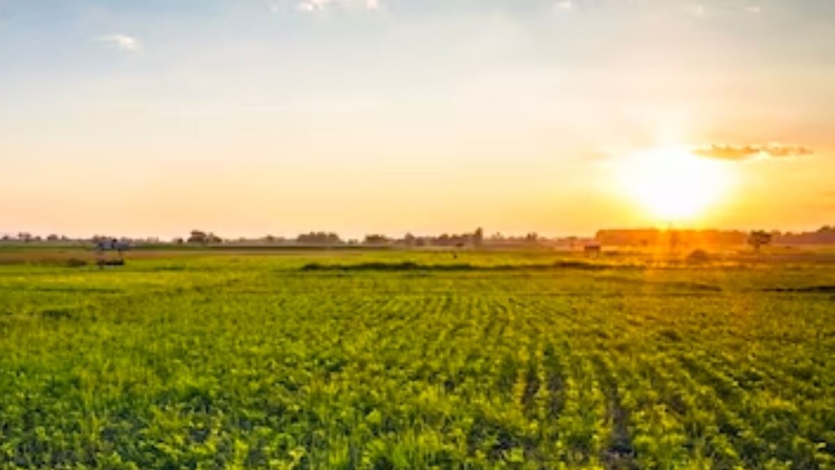 Who Is The Biggest Landowner In The World? Quora Users Answer News18