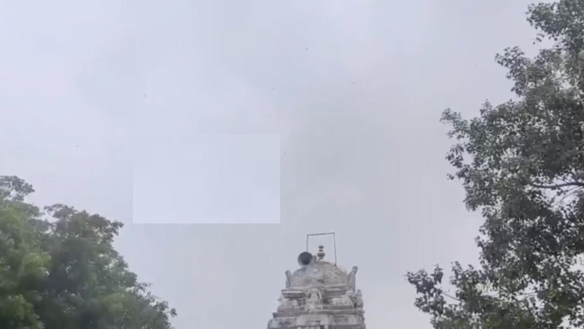 In Andhra Pradesh, Devotees Throng To This Temple For The Darshan Of Naga Devatha - Vimarsana News