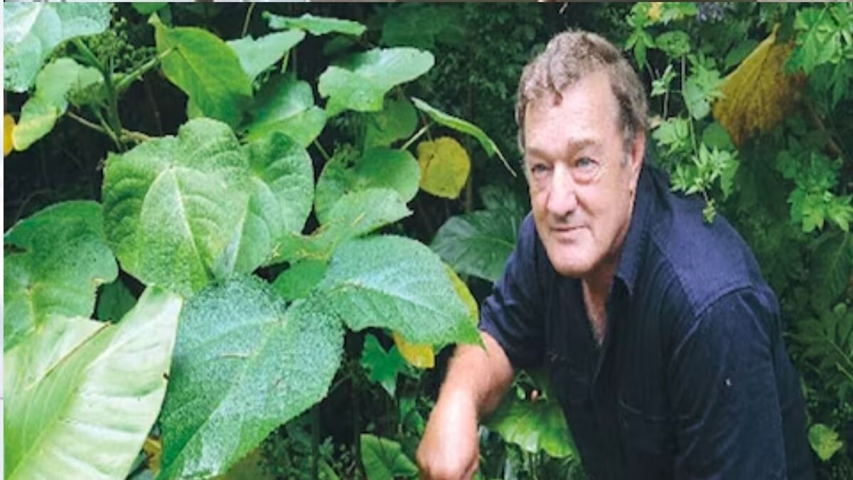 Why GympieGympie, Known As The ‘Suicide Plant’, Is Considered Deadly News18