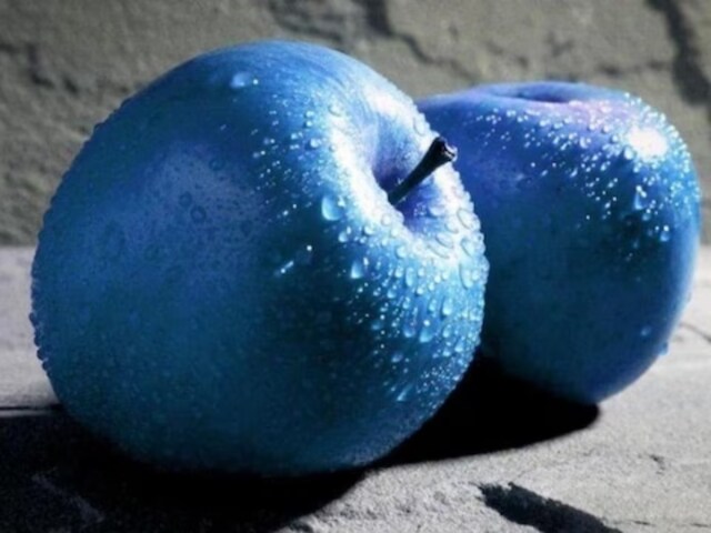 Efforts have been made to grow blue apples in Japan and China.
