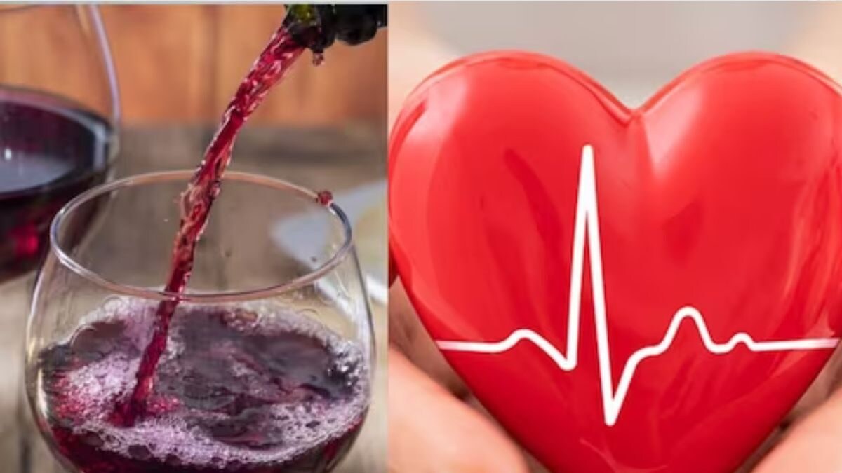 Myth Buster Is Red Wine Good For The Heart? News18