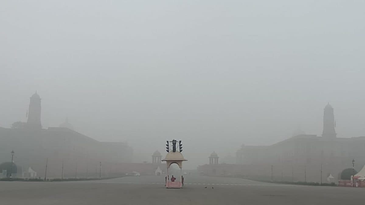 Fog News LIVE: In Delhi, 22 Trains & 134 Flights Delayed; North's Severe Cold Hits UP Schools