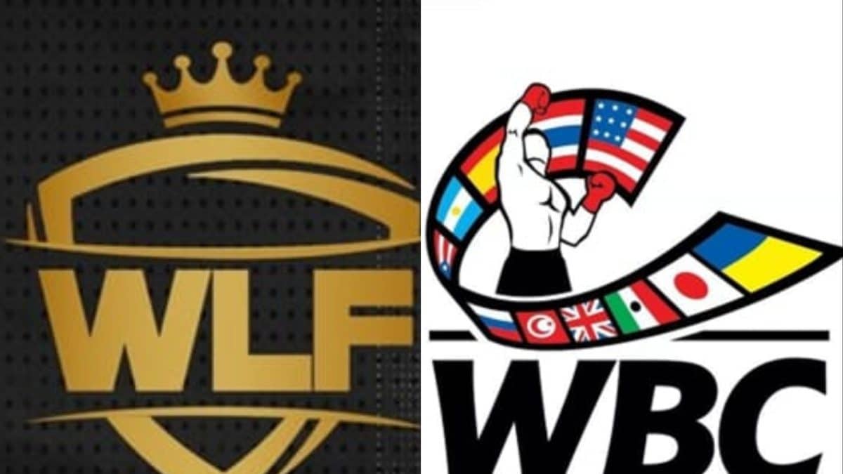 World League of Fighters Signs Exclusive Global Partnership With World Boxing Council MuayThai – News18 World League of Fighters Signs Exclusive Global Partnership With World Boxing Council MuayThai – News18