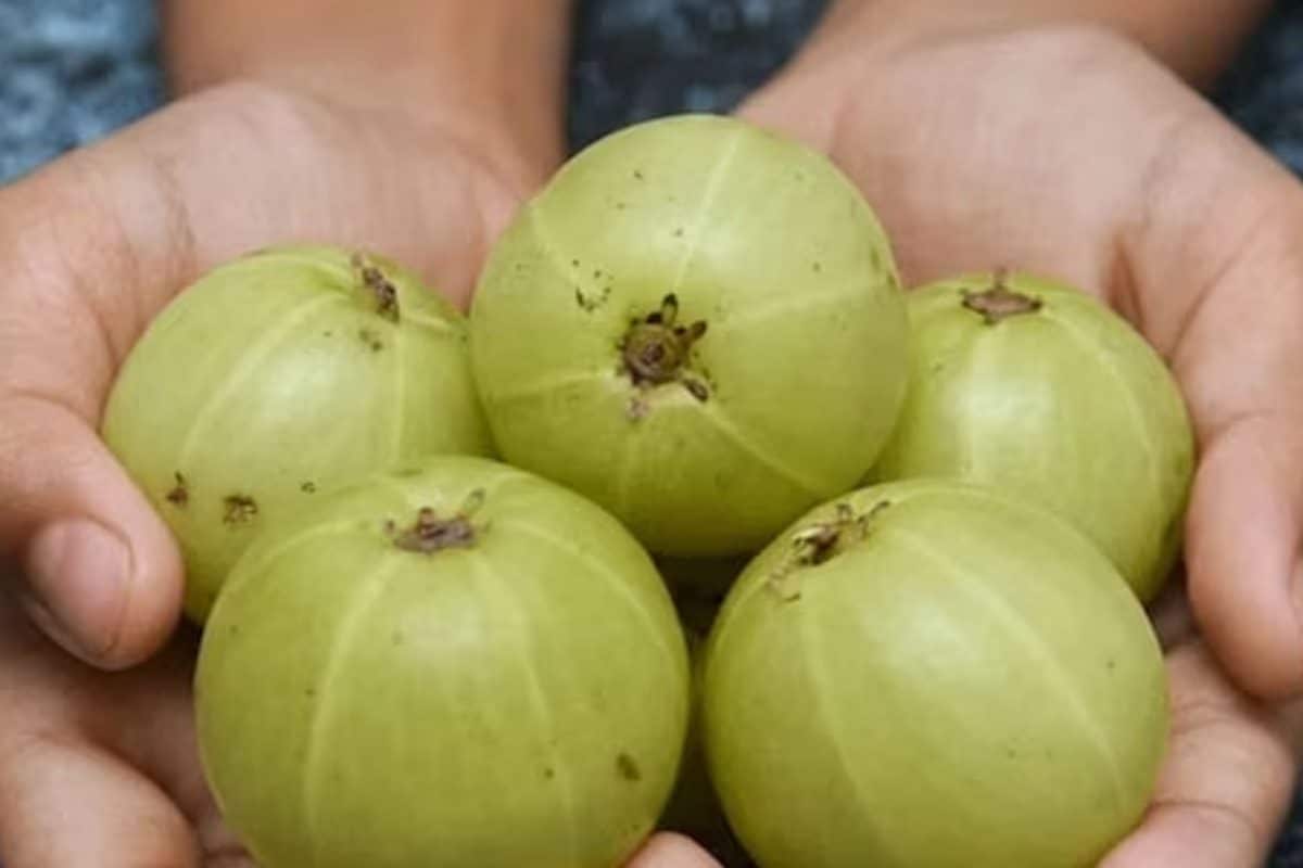 Amla: The Ultimate Superfood For Health, Hair And Skin