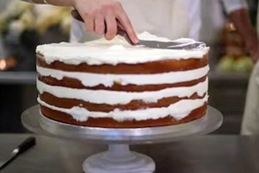 Splosh Pudding What Is Sploshing? The Food Fetish Taking Over Social Media - News18