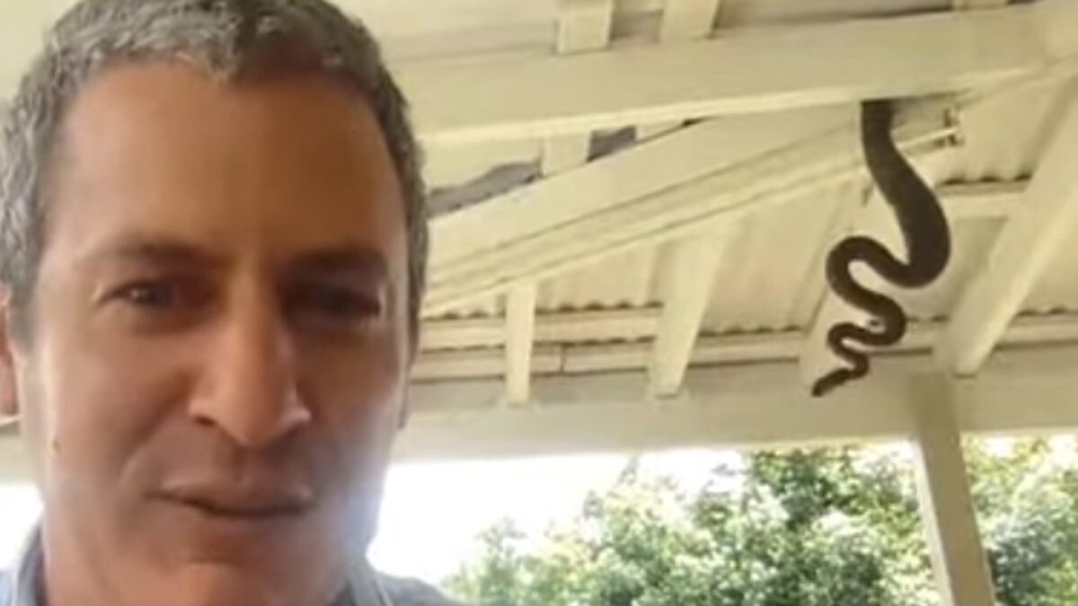 Snake's Special Appearance In This Podcast Is The Perfect Peek-A-Boo Moment - Vimarsana News