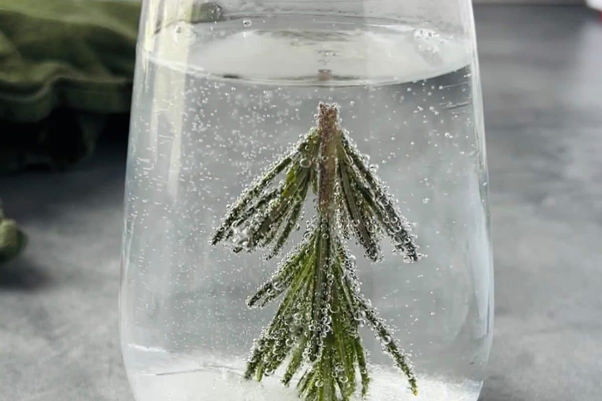 How To Make The Viral Snow Globe Cocktail This Christmas? A Step By ...