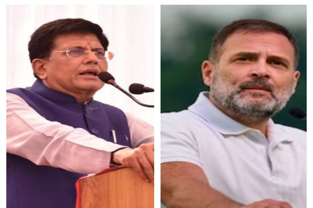 Piyush Goyal Hops onto ‘Moye-Moye Trend’, Takes a Dig at Rahul Gandhi | WATCH