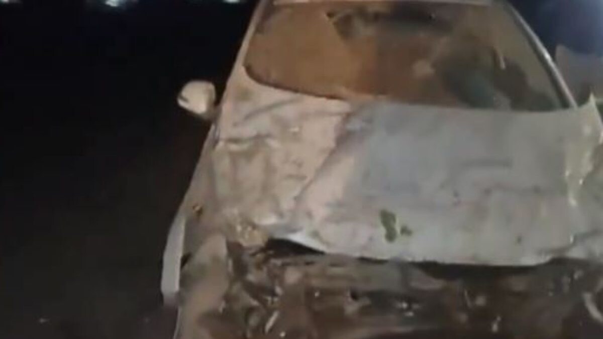 Punjab 5 Killed in Road Accident on Bathinda Faridkot Road, Crash