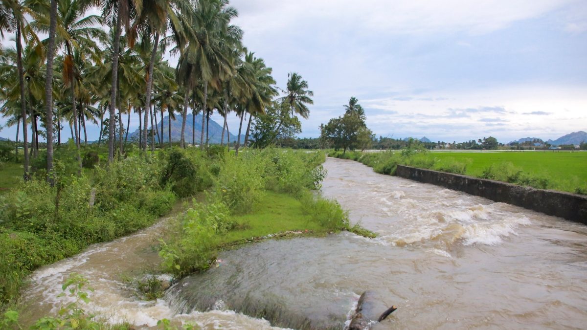 Tamil Nadu Rains: Central Team Likely to Visit Rain-hit Districts in ...