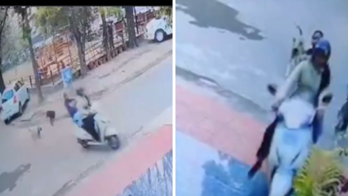 Viral: Mother-Daughter Duo Flee from Stray Dog Attack In Chandigarh, Meet With Accident