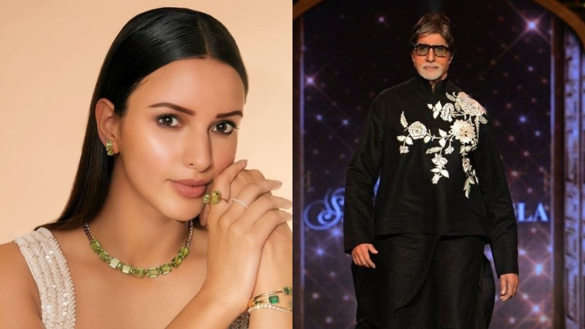 Tripti Dimri Reveals Parents Reaction To Intimate Scenes In Animal; Amitabh Bachchan Shares Cryptic Tweet - Vimarsana News