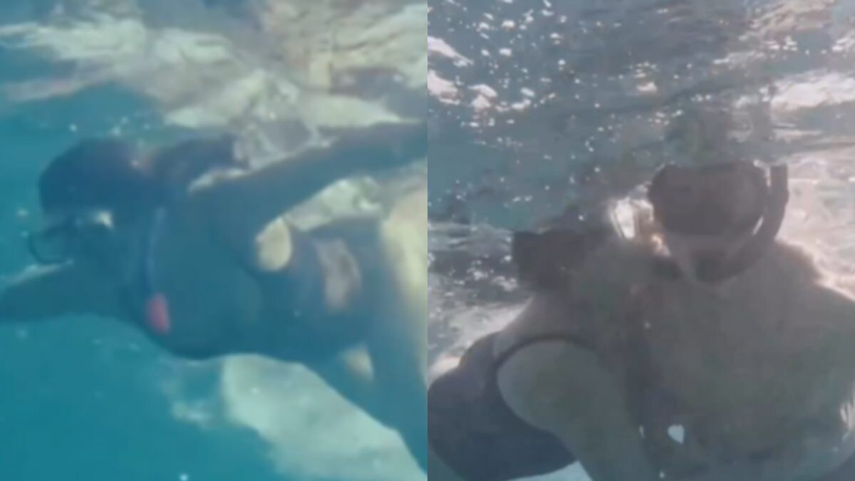 Twinkle Khanna Slips Into Swimsuit, Kisses Akshay Kumar While Snorkelling On Her 50th Birthday; Watch - Vimarsana News