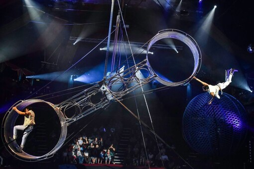 The show was halted immediately and the police and ambulance services were called for aid. (Representative Image from Hippodrome Circus) 