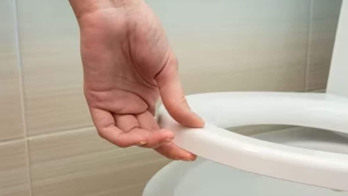 Why Western Bathrooms Have Two Flush Buttons – News18