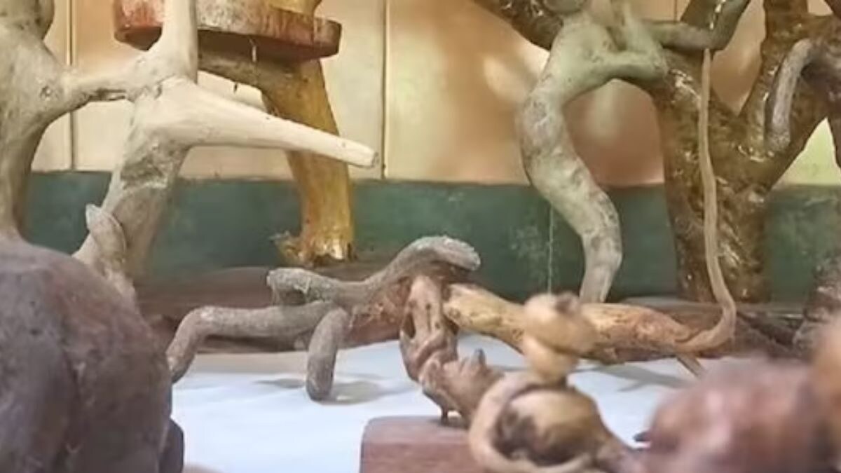 Scraps To Sculptures, Karnataka’s Sivamurthy Bhatt Masters The Art Of Wood Craftsmanship