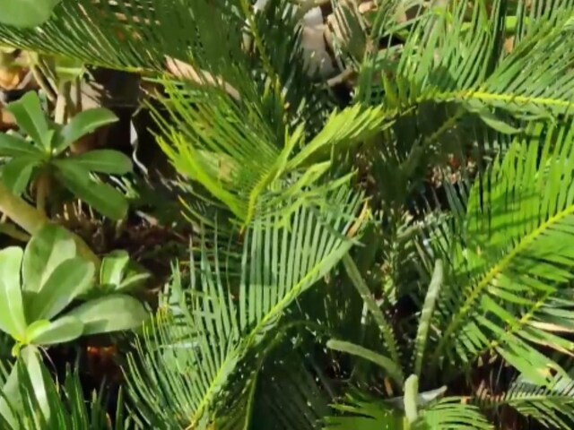 name brand hats for guys