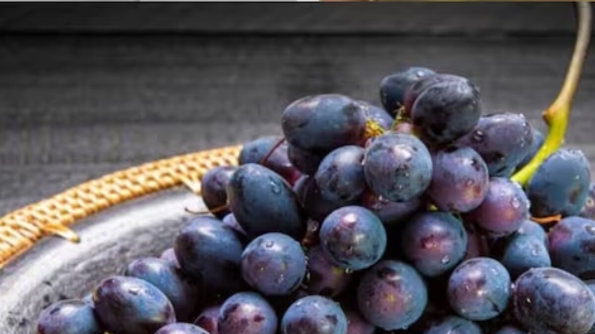 Can A Diabetic Patient Consume Black Grapes? Expert Responds News18
