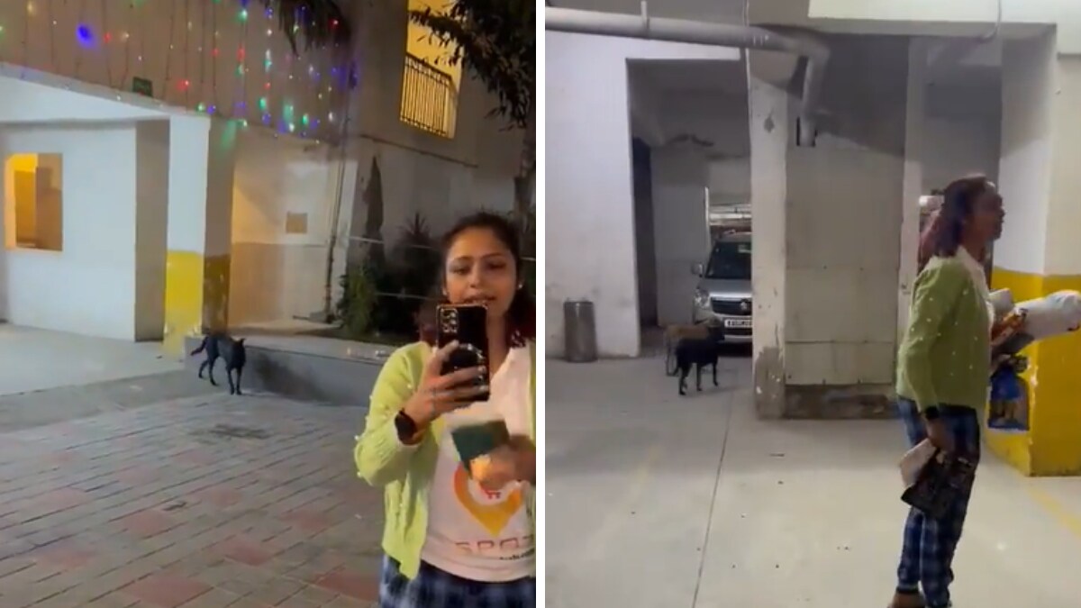 Noida Woman Engages In War Of Words Over Feeding Stray Dogs - Vimarsana News