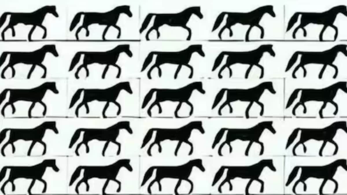 Optical Illusion: Spot The Horse With A Missing Tail In 5 Seconds ...