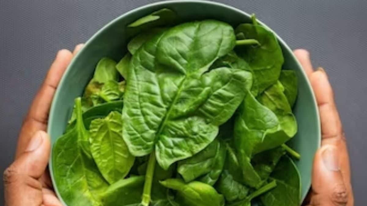 Eating Too Much Spinach In Winters Harmful For Health? Find Out - News18