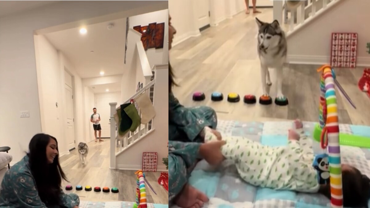 Watch: Dog Saying I Love You To Little Boy Will Beat Your Monday Blues - Vimarsana News