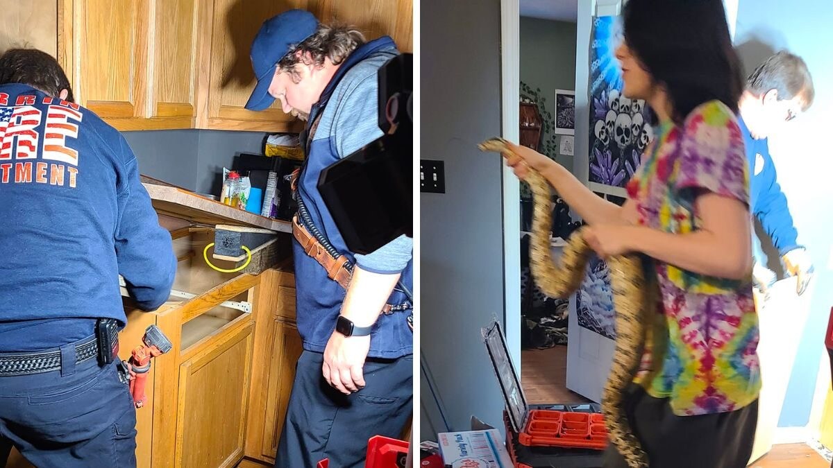 Fire Department Rescue Pet Snake 'Nagini' Stuck In Kitchen Cabinet For 12 Hours - Vimarsana News