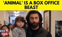 Animal is a box office beast