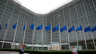 EU Debates 2040 Milestone Towards Carbon-neutral Future - Vimarsana News
