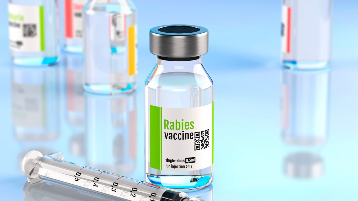 Rxlist Rabies Injections Central Govt Adds Anti-Rabies Shots to Essential Drugs List Amid Rising ...