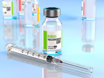 Dog bite rabies injection best sale