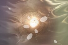 Let’s Talk Sex | How Long Does It Take for Sperm to Regenerate? The Answer Revealed