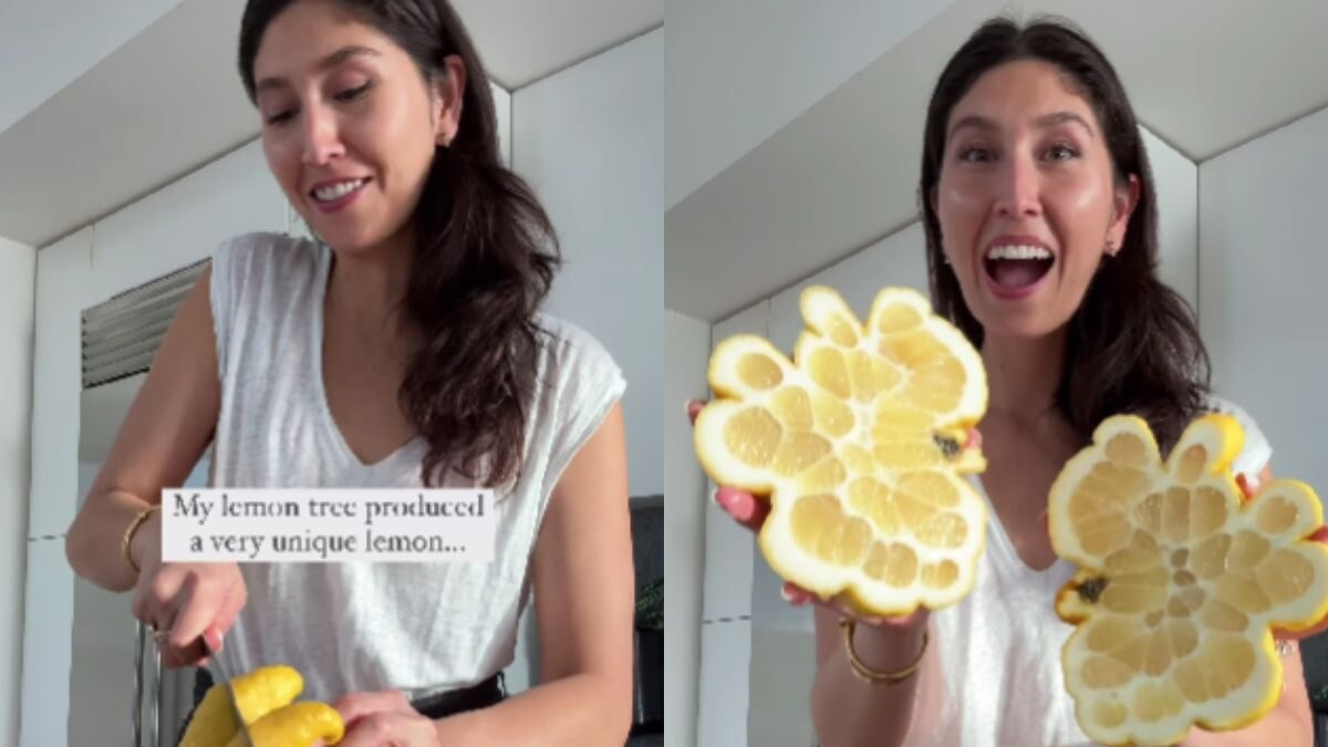 Viral Video of Giant 'Creepy-shaped' Lemon is Giving Internet All the Chills and How