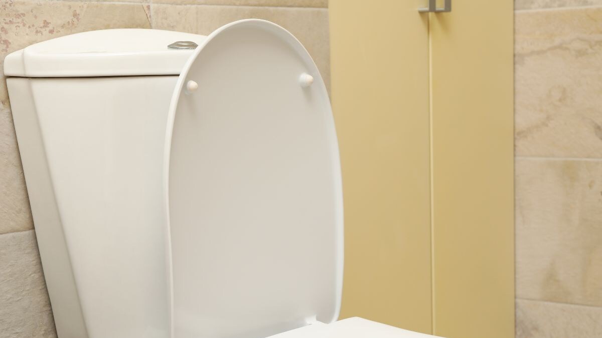 Doctor Reveals Why You Need To Close The Lid Before Flushing News18