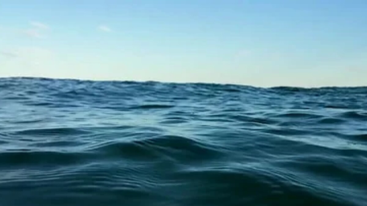 Man, Stuck In Shark-Infested Water For 24 Hours, Used His Watch To Send Signals To Rescue Team - Vimarsana News