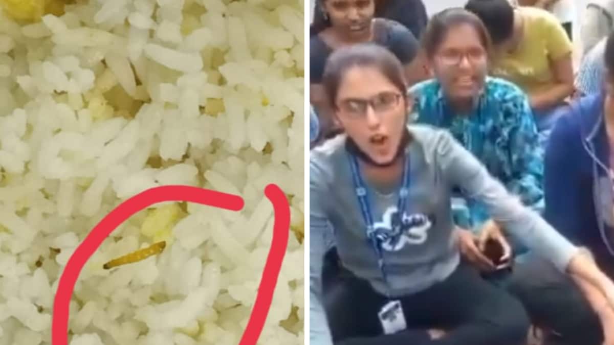Students At Osmania University Protest Over 'Insect-Infested' Hostel ...
