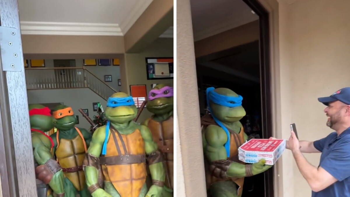 Watch: Pizza Delivery Guy Surprised By Teenage Mutant Ninja Turtles - Vimarsana News