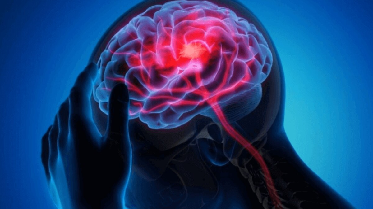 Researchers Might Have Found New Therapies For Neurological Disorders - Vimarsana News