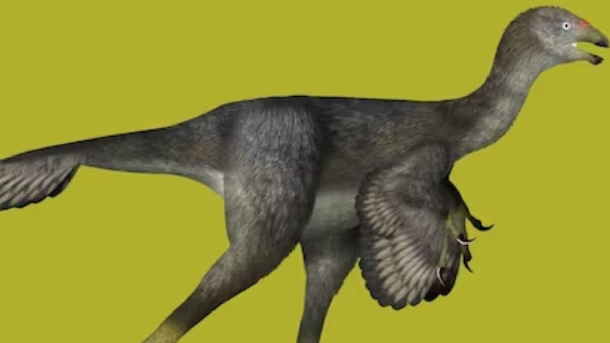 Robotic Dinosaur To Explain The Origins Of 124 Million Years Old Caudipteryx - Vimarsana News
