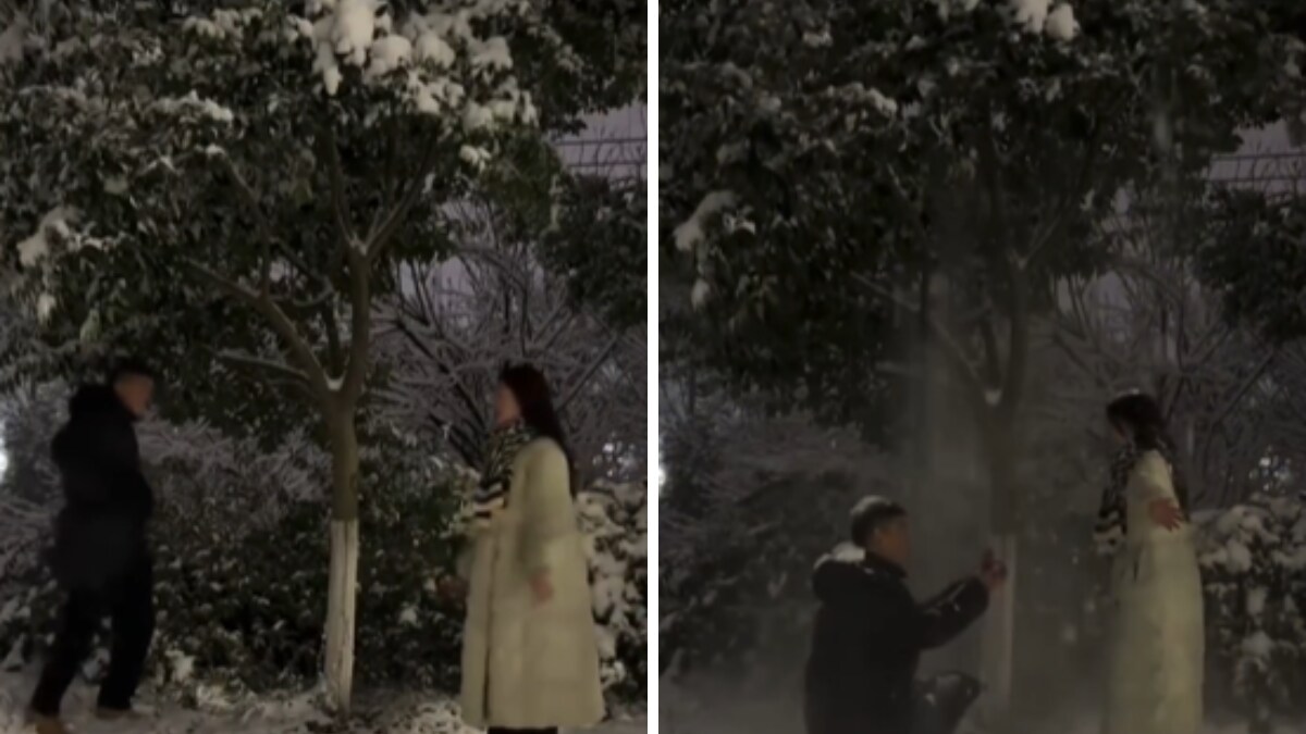 Watch: Man's Proposal To Partner Is Straight Out Of A Rom-Com Movie - Vimarsana News