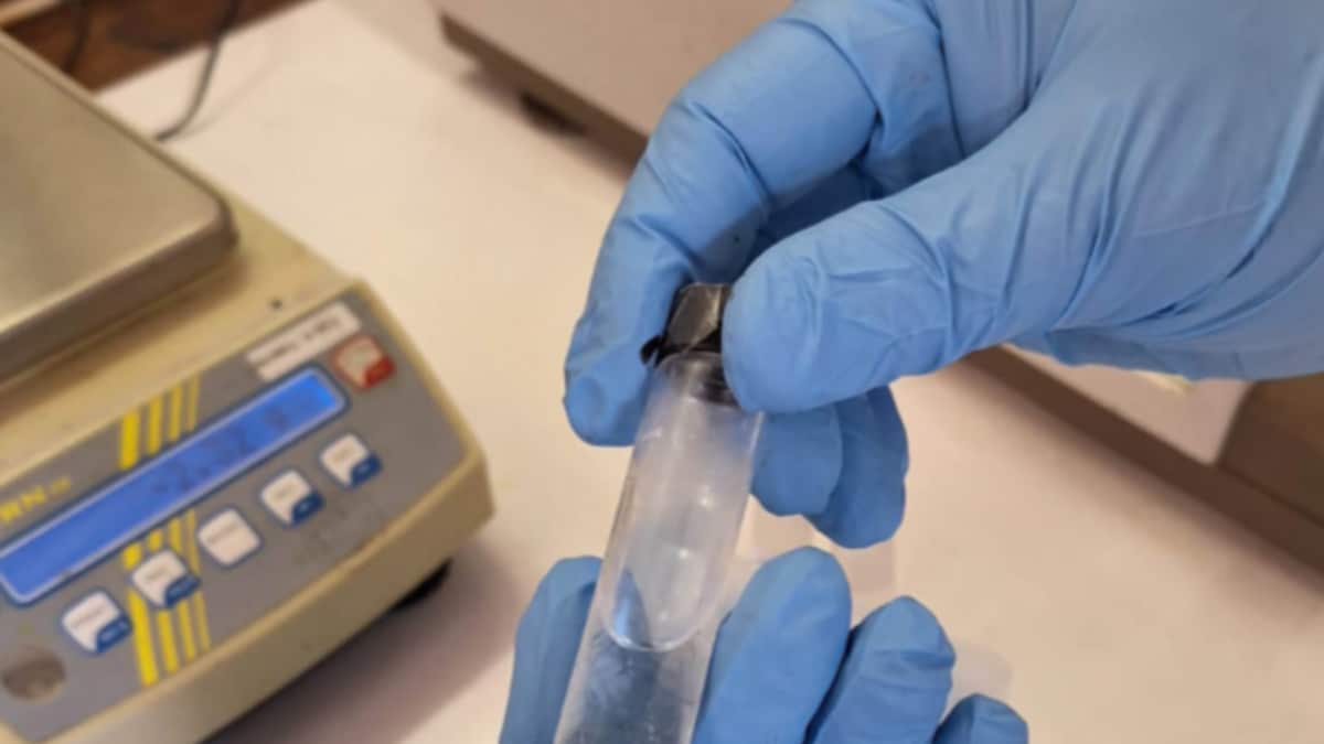 UK Firm Develops Jet Fuel Made from Human Poo in Sustainable Aviation Breakthrough - Vimarsana News