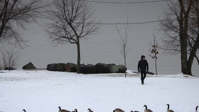 Grid Question Html Canada's Grid Issues Alert, Asks Citizens Cut Power Use Amid Winter ...