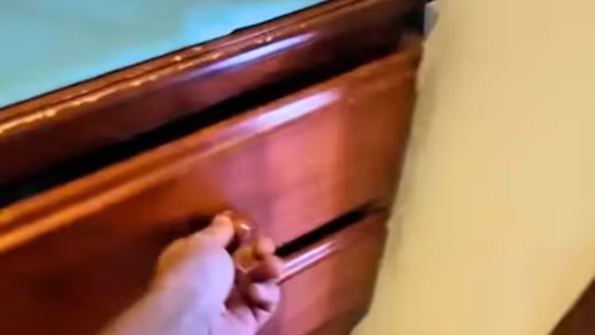 Australian Mother Finds World's Second-most Venomous Snake In 3-year-old's Drawer - Vimarsana News