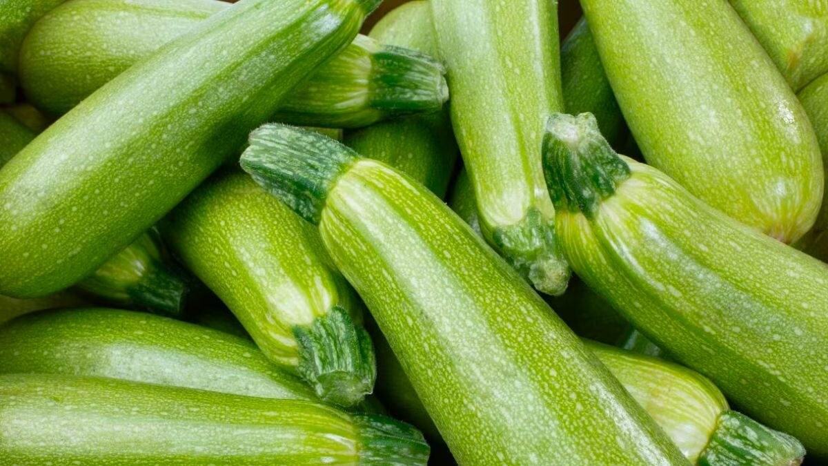 Blood Sugar To Weight Loss, 5 Benefits Of Consuming Zucchini News18