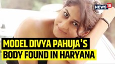 Divya Pahuja Murder Case: Ex-Models Body Found From Canal in Haryanas Tohana