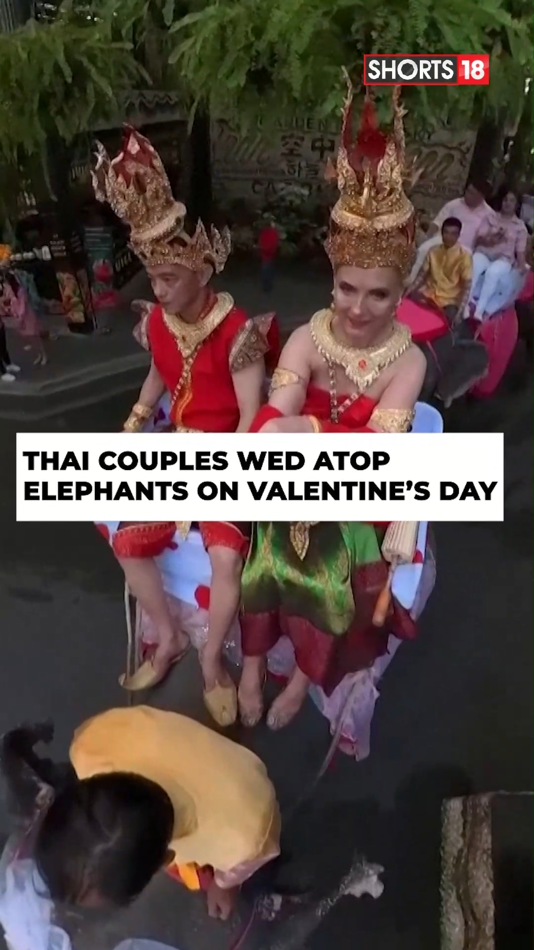 On Valentines Day, {couples} from Thailand trade vows atop elephants. – News18